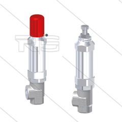 VS1100 Sicherheitsventil - VA303 - 1000 Bar - 40 l/min - max 100°C - Eingang: 3/8&quot; IG - Bypass: 3/8&quot;