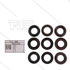 Kit 69 - Manschettensatz Ø20mm für 3 Plunger - Serie 47 + 48 + 69