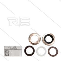 Kit 173 - kompletter Dichtsatz Ø22mm für 1 Plunger - Serie 66