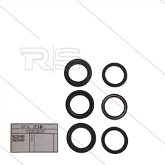 Kit 210 - Manschettensatz Ø24mm für 3 Plunger - Serie 66(V)HT + SS