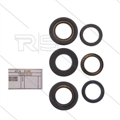 Kit 238 - Manschettensatz Ø20mm für 3 Plungers - Serie SS