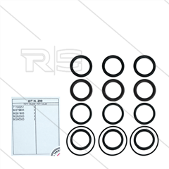 Kit 299 - Manschettensatz Ø36mm für 3 Plunger - Serie AB