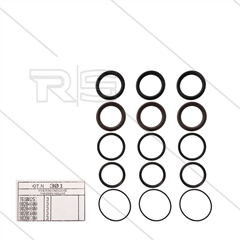 Kit 301 - Manschettensatz Ø45mm für 3 Plunger - Serie AB