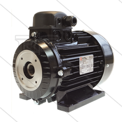E-Motor 3.0 kW - 230/400V - Ø24mm Hohlwelle - IEC 100 - Serie E1/E2/44/50/51/60(HT)/63(HTS/SS)