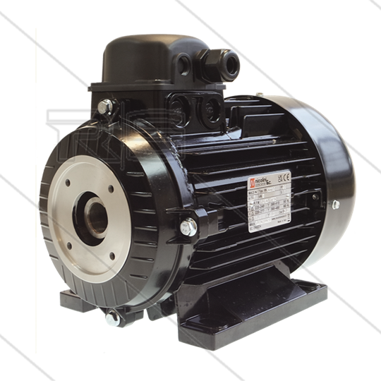 E-Motor 3.0 kW - 230/400V - Ø24mm Hohlwelle - IEC 100 - Serie E1/E2/44/50/51/60(HT)/63(HTS/SS)