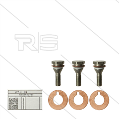 Kit 6 - Satz Plungerschrauben + Dichtungen (3x) - Serie 47 + 48 + 50