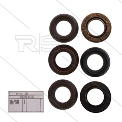 Kit 8 - Manschettensatz Ø20mm für 3 Plunger - Serie 47 + 48 + 69
