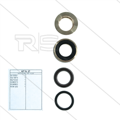 Kit 27 - kompletter Dichtsatz Ø20mm für 1 Plunger - Serie 50