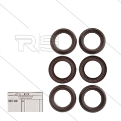 Kit 63 - Dichtsatz 30x45x7,5 (6x) - Serie 69 - W103
