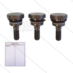 Kit 74 - Satz Plungerschrauben + Dichtungen (3x) - Serie 69 - W4 - T33 - T44 - T55
