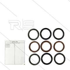 Kit 79 - Manschettensatz Ø45mm für 3 Plunger