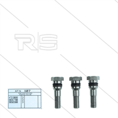 Kit 107 - Satz Plungerschrauben + Dichtungen (3x) - Serie 47 - W928