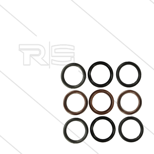 Kit 113 - Manschettensatz Ø30mm für 3 Plunger - Serie 69 - W103CW
