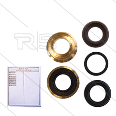 Kit 131 - kompletter Dichtsatz Ø18mm für 1 Plunger - Serie 44