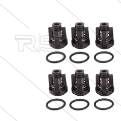 Kit 134 - Ventil und O-Ring (6x) - Serie Greenjet + Cleanmatic + Bluetime
