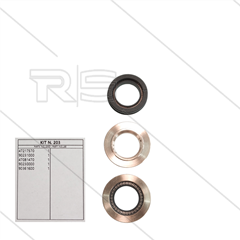 Kit 203 - kompletter Dichtsatz Ø22mm für 1 Plunger - Serie 47(V)HT
