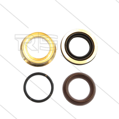 Kit 227 - kompletter Dichtsatz Ø18mm für 1 Plunger - Serie 60 Misting