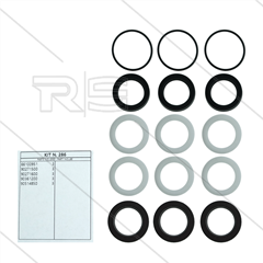 Kit 286 - Manschettensatz Ø22mm für 3 Plunger - Serie 59