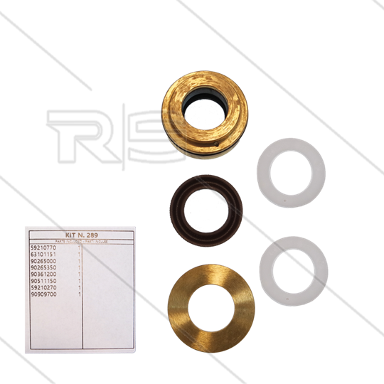 Kit 289 - kompletter Dichtsatz Ø18mm für 1 Plunger - Serie 59