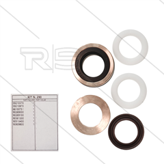 Kit 290 - kompletter Dichtsatz Ø20mm für 1 Plunger - Serie 59