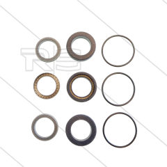 Kit 350 - Manschettensatz Ø20mm für 3 Plunger - Serie C3W HT - Serie 59
