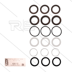 Udor Kit 10 - Manchettensatz für 3 Plunger Ø22mm - Serie C + CK