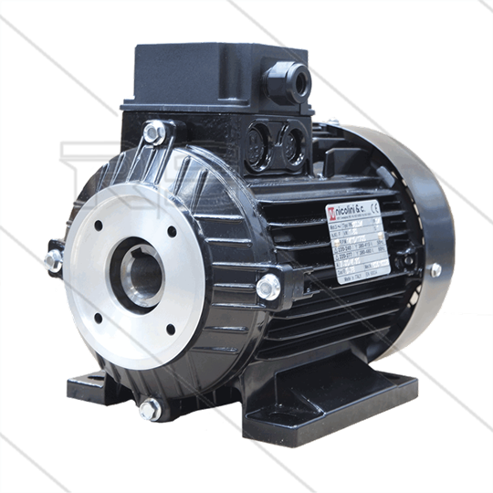 E-Motor 3.0 kW - 230/400V - Ø24mm Hohlwelle - IEC 100 - pumpenserie 47(VHT-SS) - 59(E3) - 66(VHT-SS)